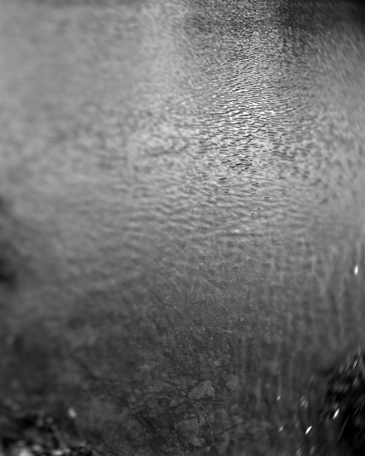 20_Pond-IV.jpg