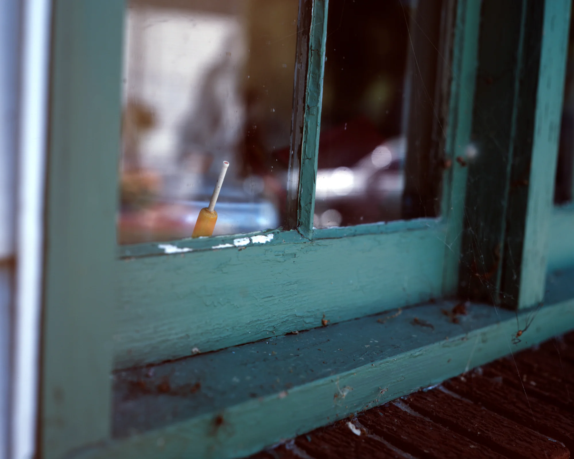 greenwindow-8x10.jpg
