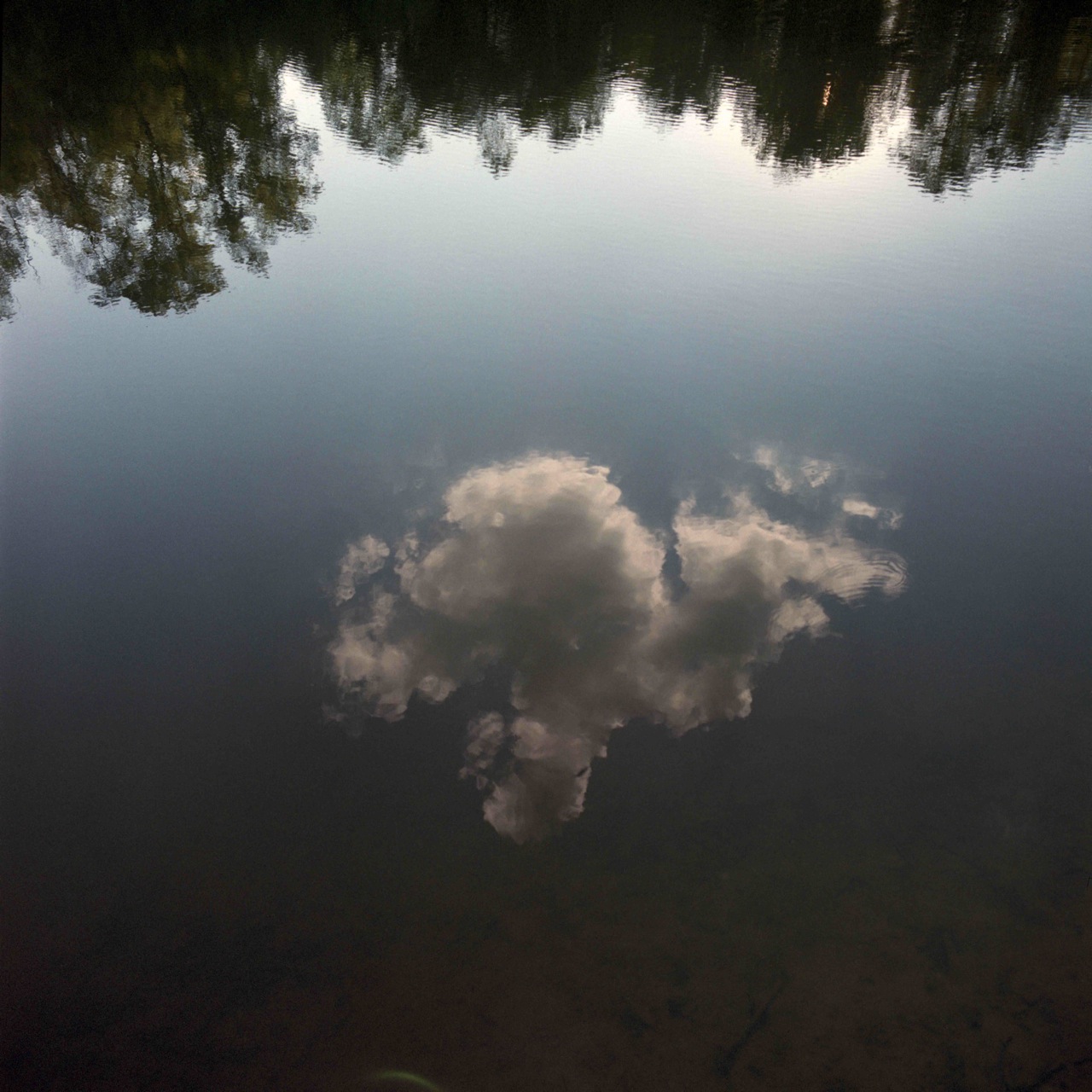 cloud reflection.jpg