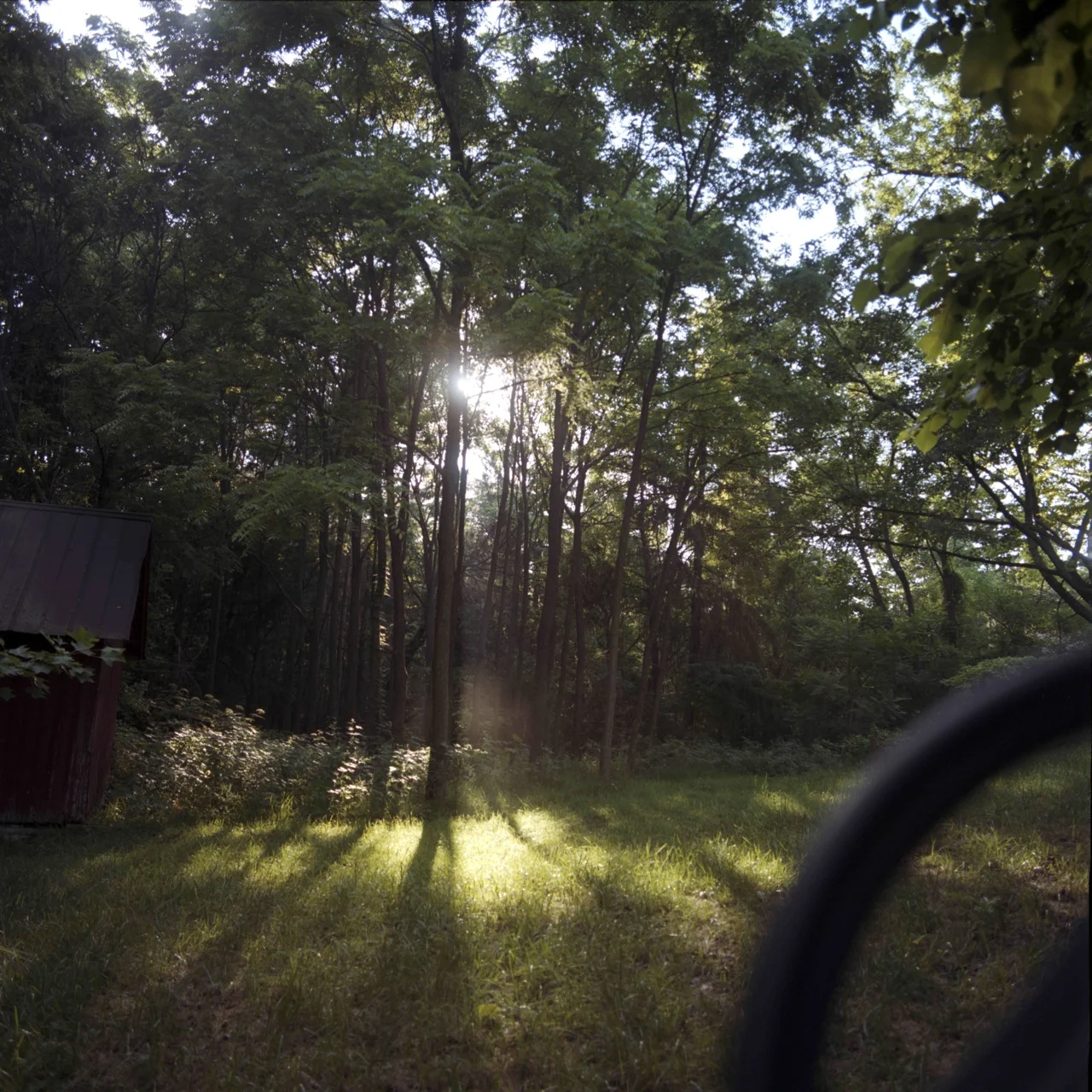 summer light.jpg