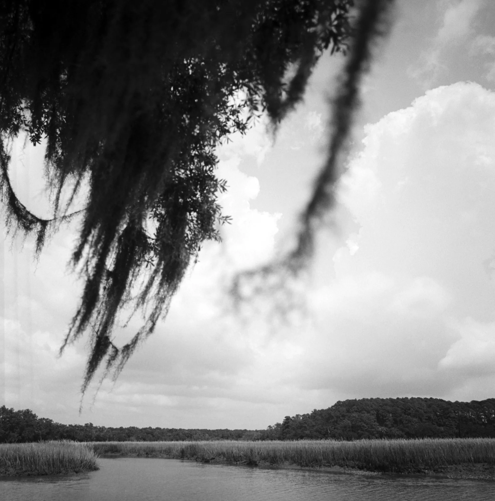 120B-W-edisto-9-2010-9.jpg