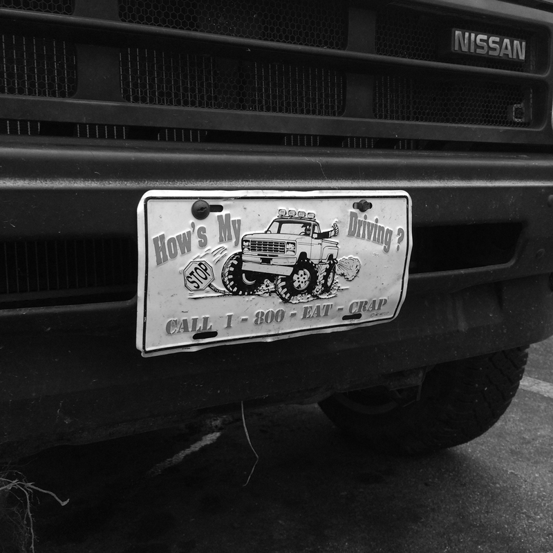 IMG_3516-copy.jpg