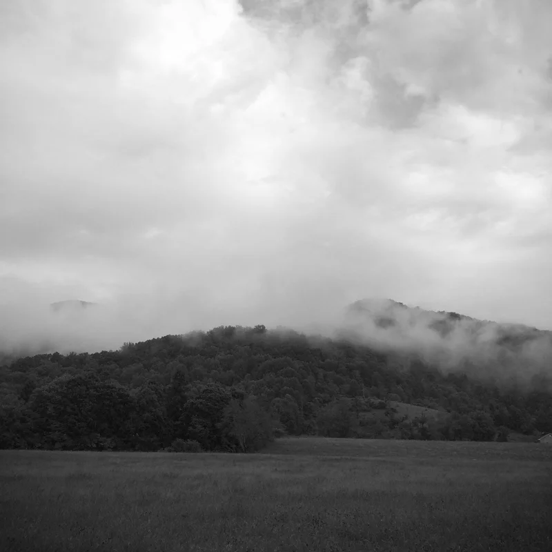 IMG_3565-copy.jpg