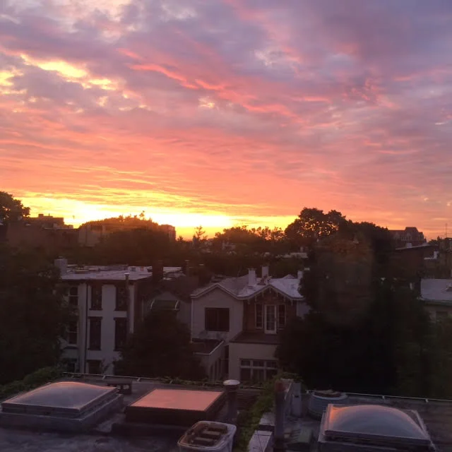 Sunrise Roof Brooklyn.jpg