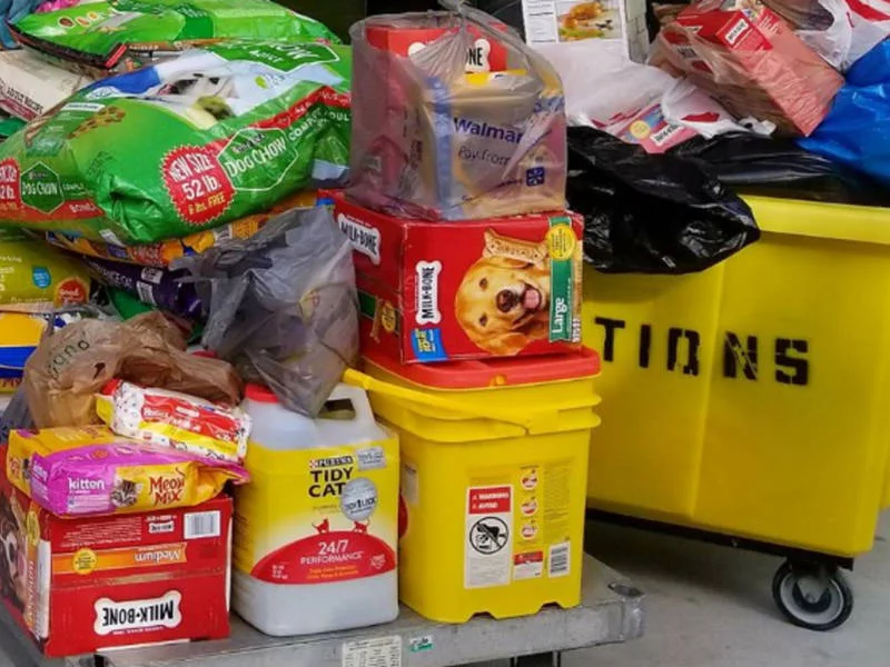 hurricane_-_hc_pet_resource_fb-1505676754-8096.jpg