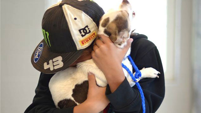 founddog.jpg