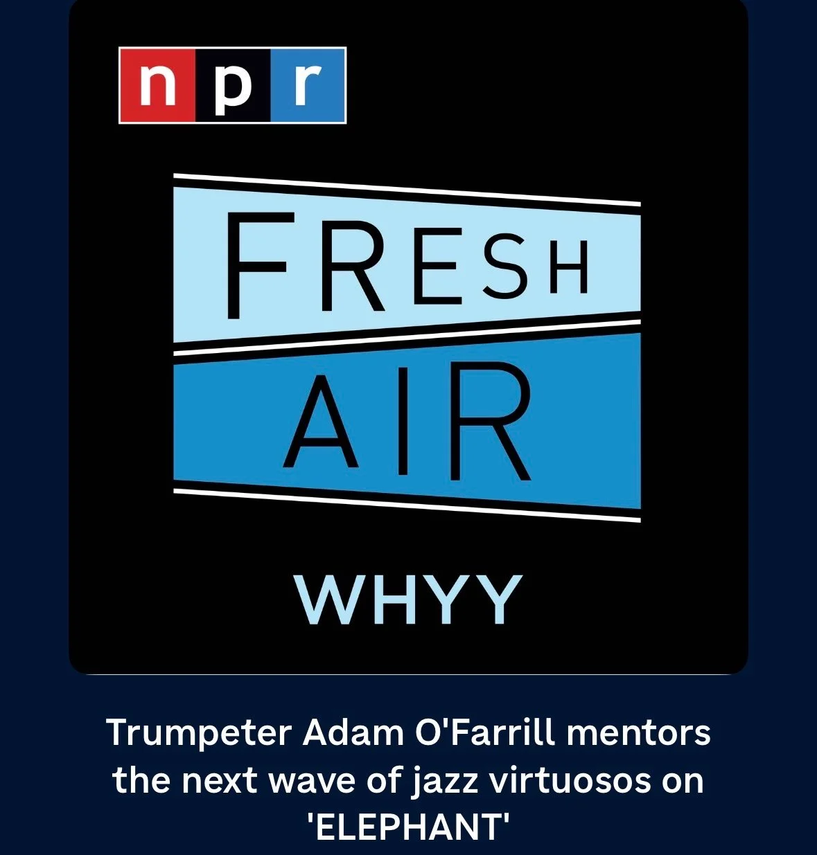 Adam O'Farrill on NPR Fresh Air