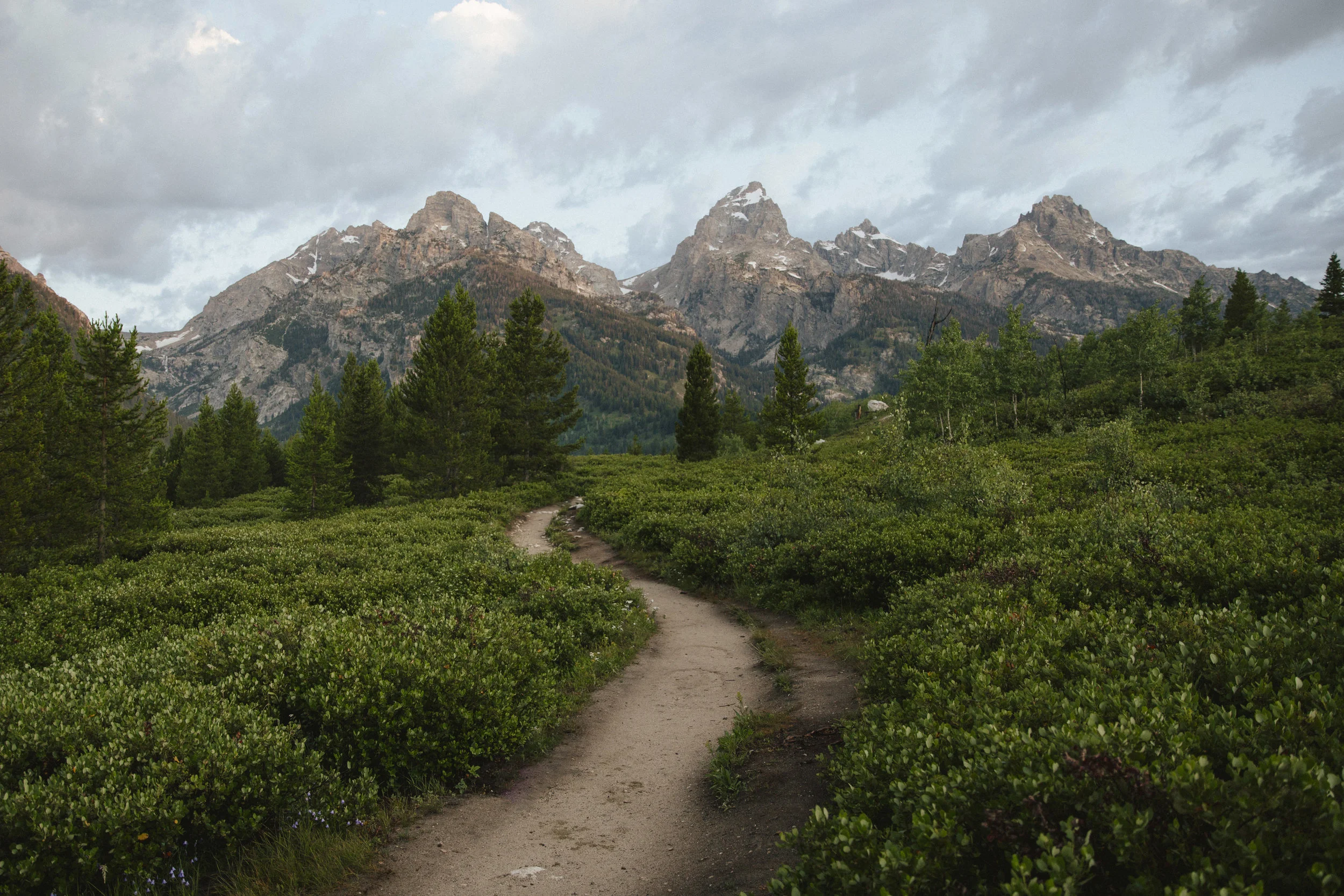 SL0A7139.jpg