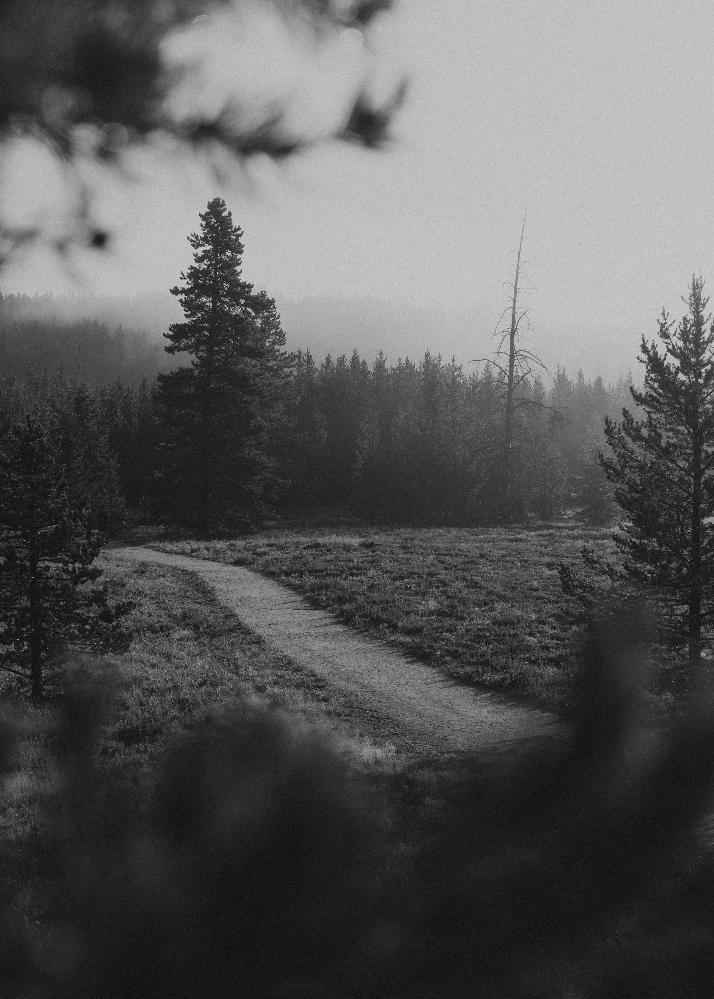 SL0A7288.jpg