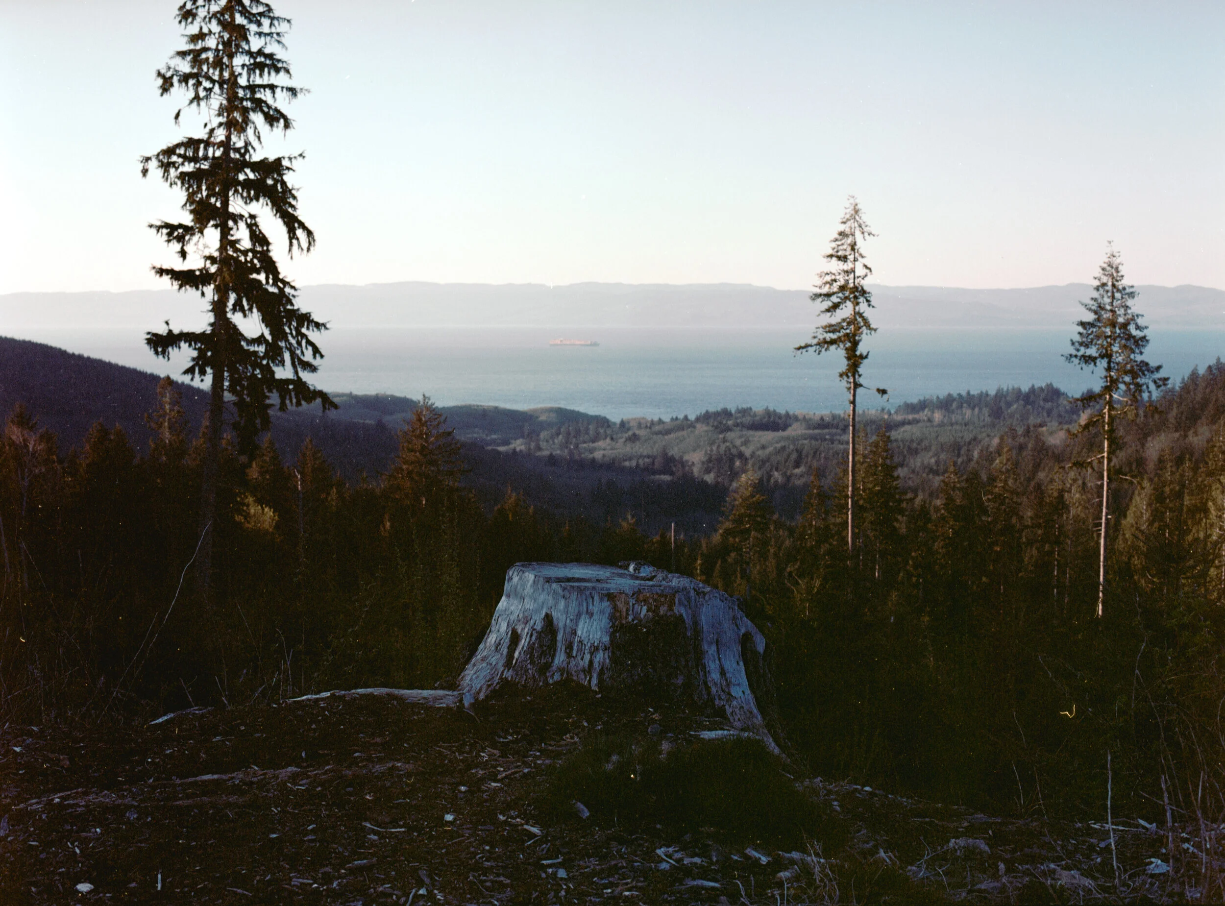 Camping on the Peninsula 