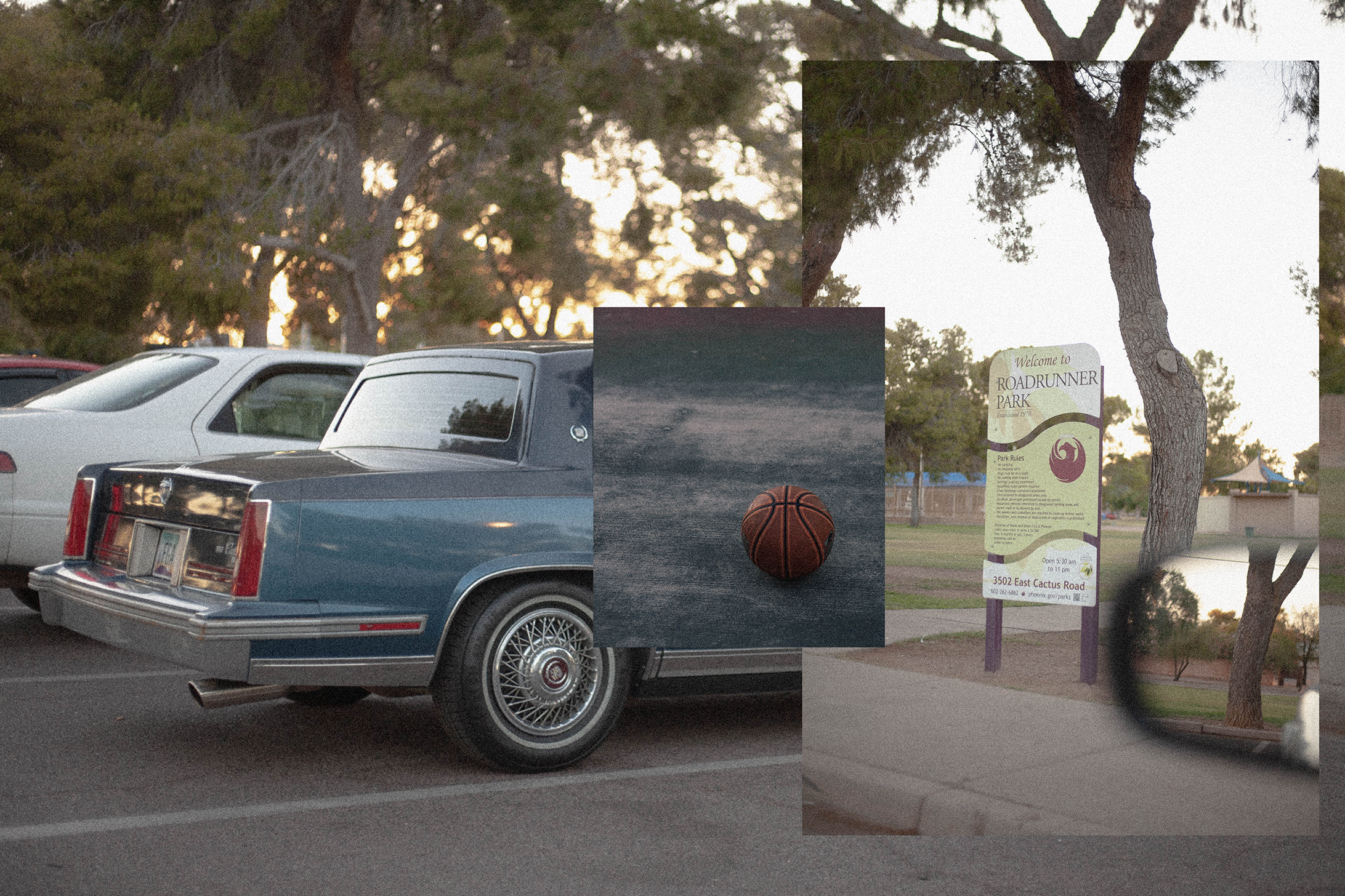 ROADRUNNER-edit2.png