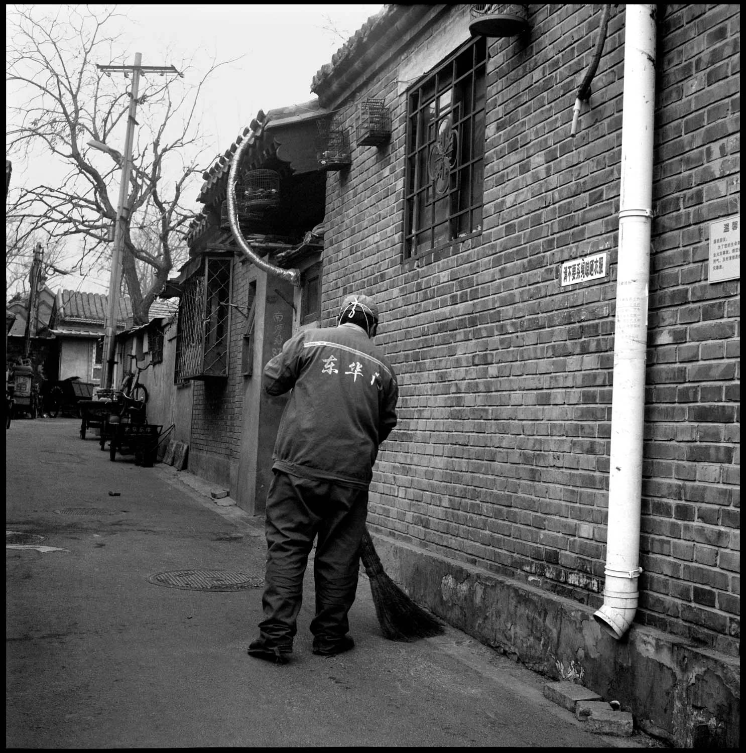 b+w087_resized.jpg