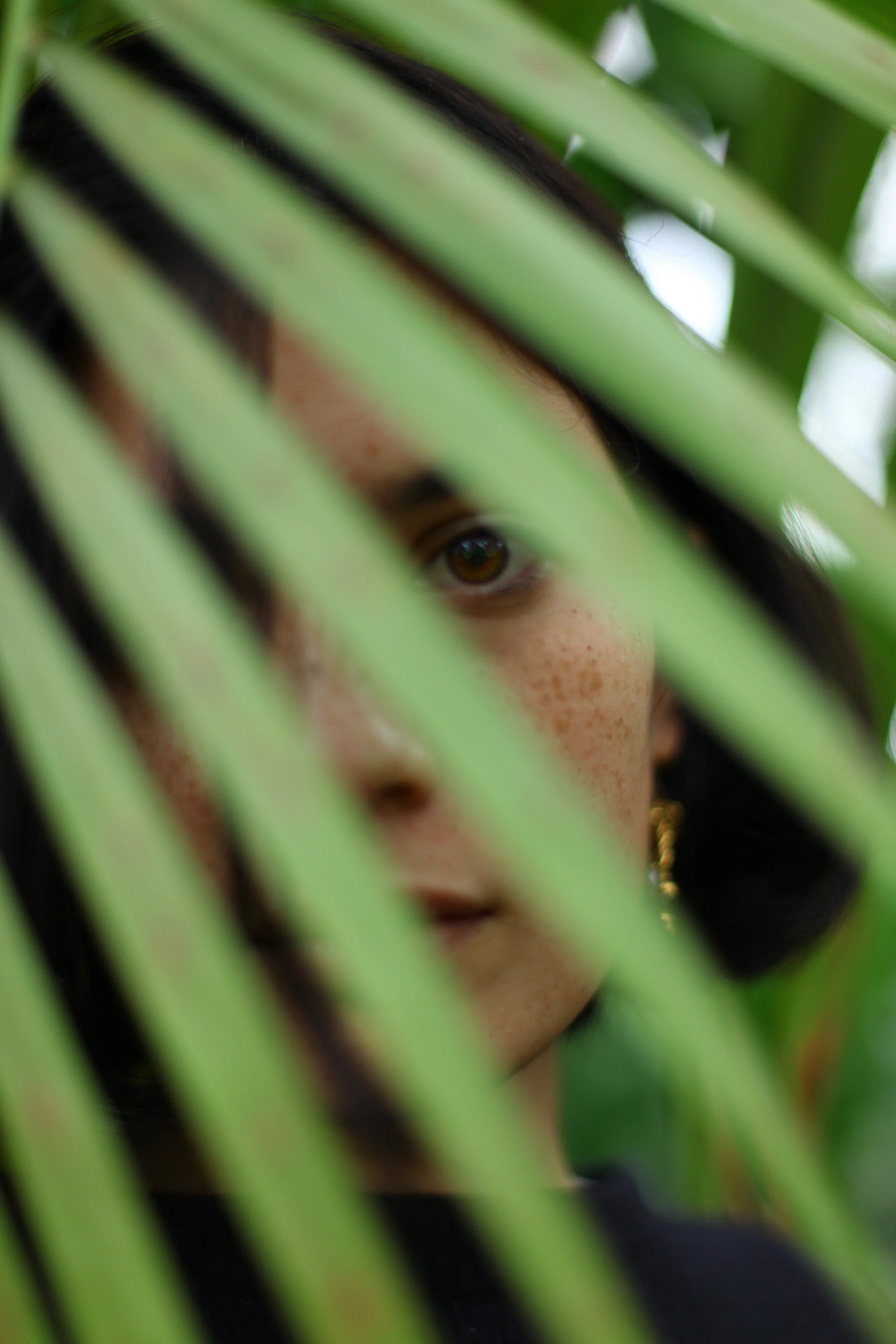 umalookingthroughtheleaves.jpg