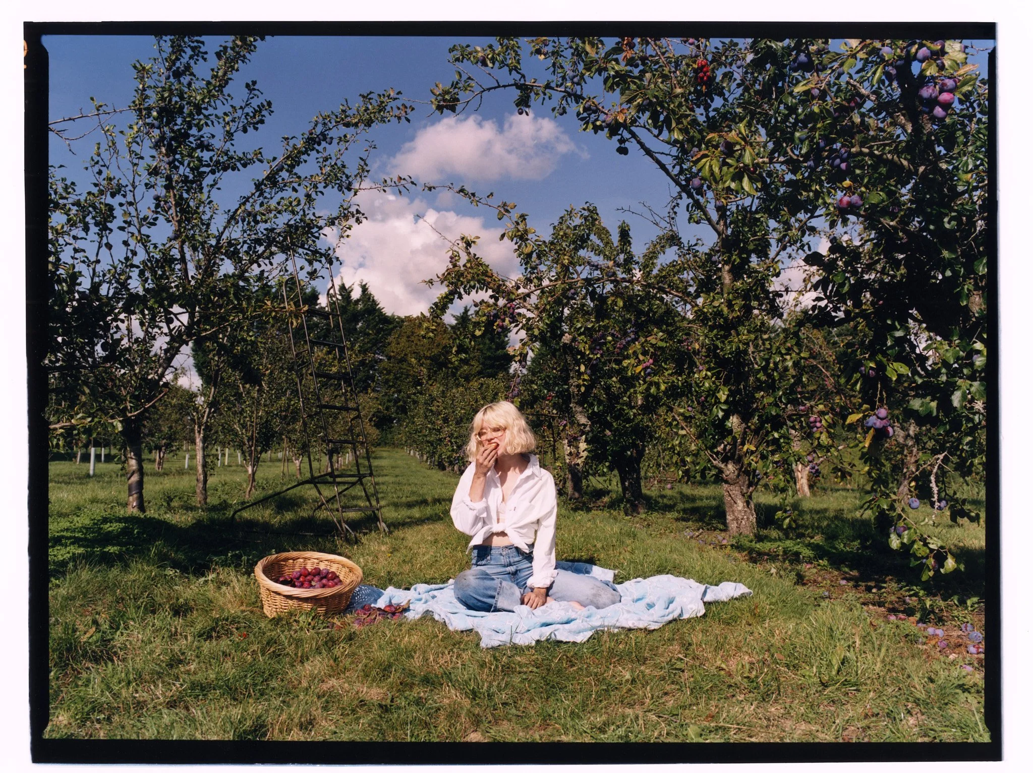 EP_MAISIE_PRINT2 copy.jpg