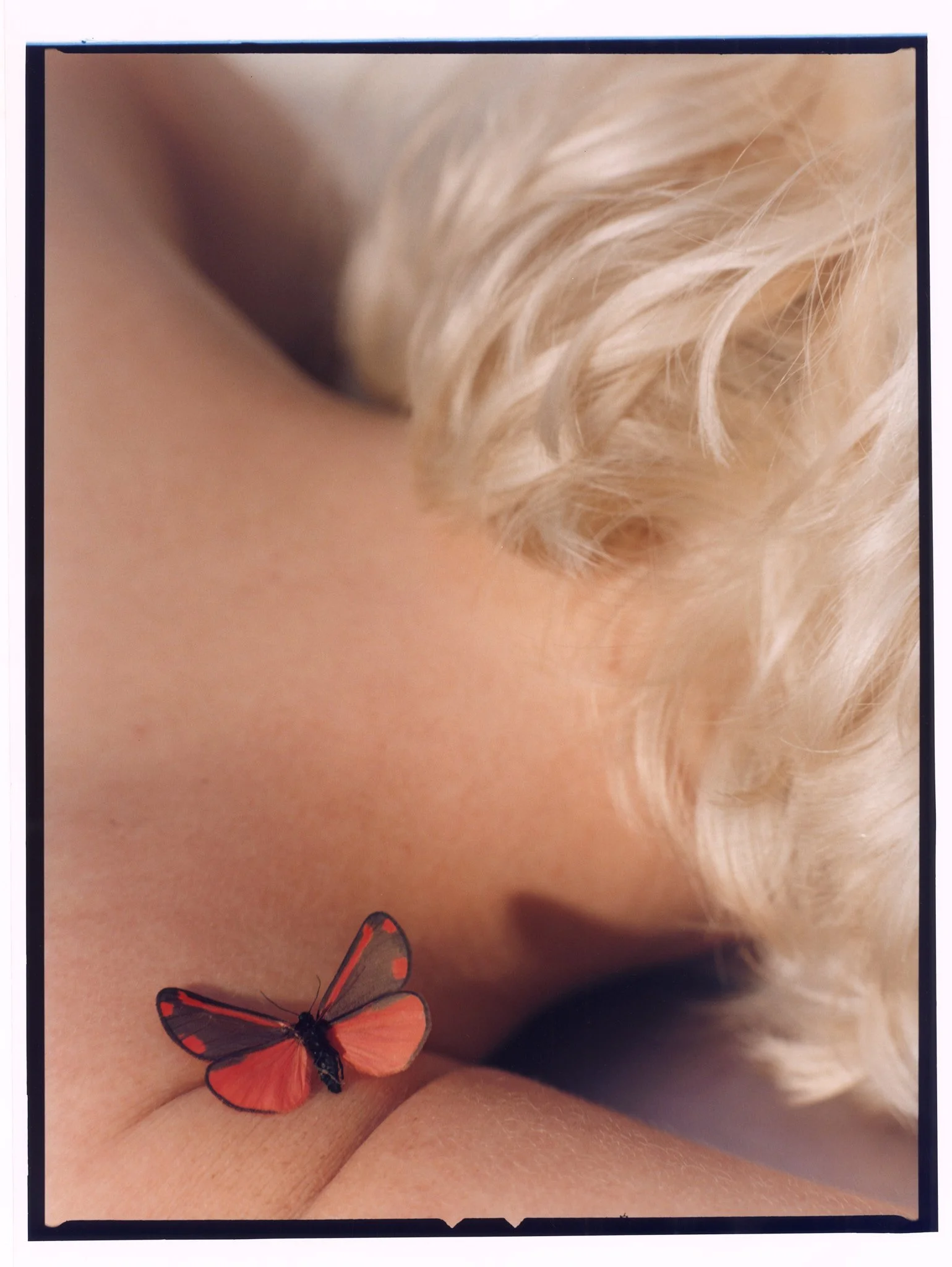 EP_MAISIE_PRINT14_2 copy.jpg