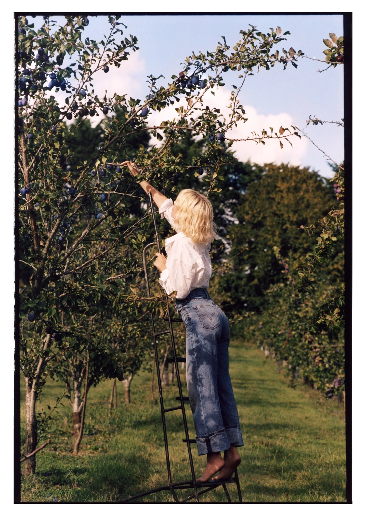 EP_MAISIE_PRINT19 copy.jpg