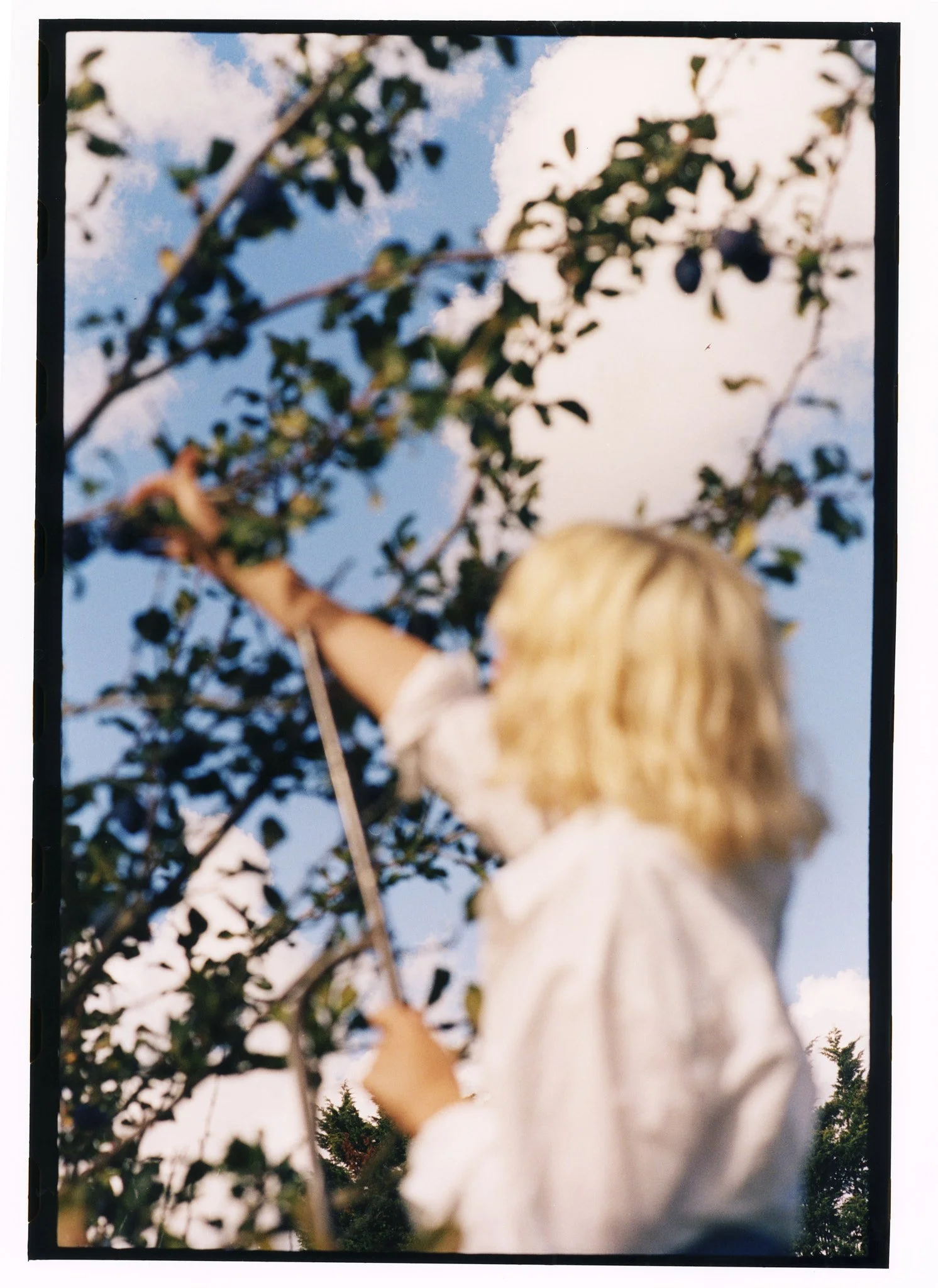 EP_MAISIE_PRINT20 copy.jpg