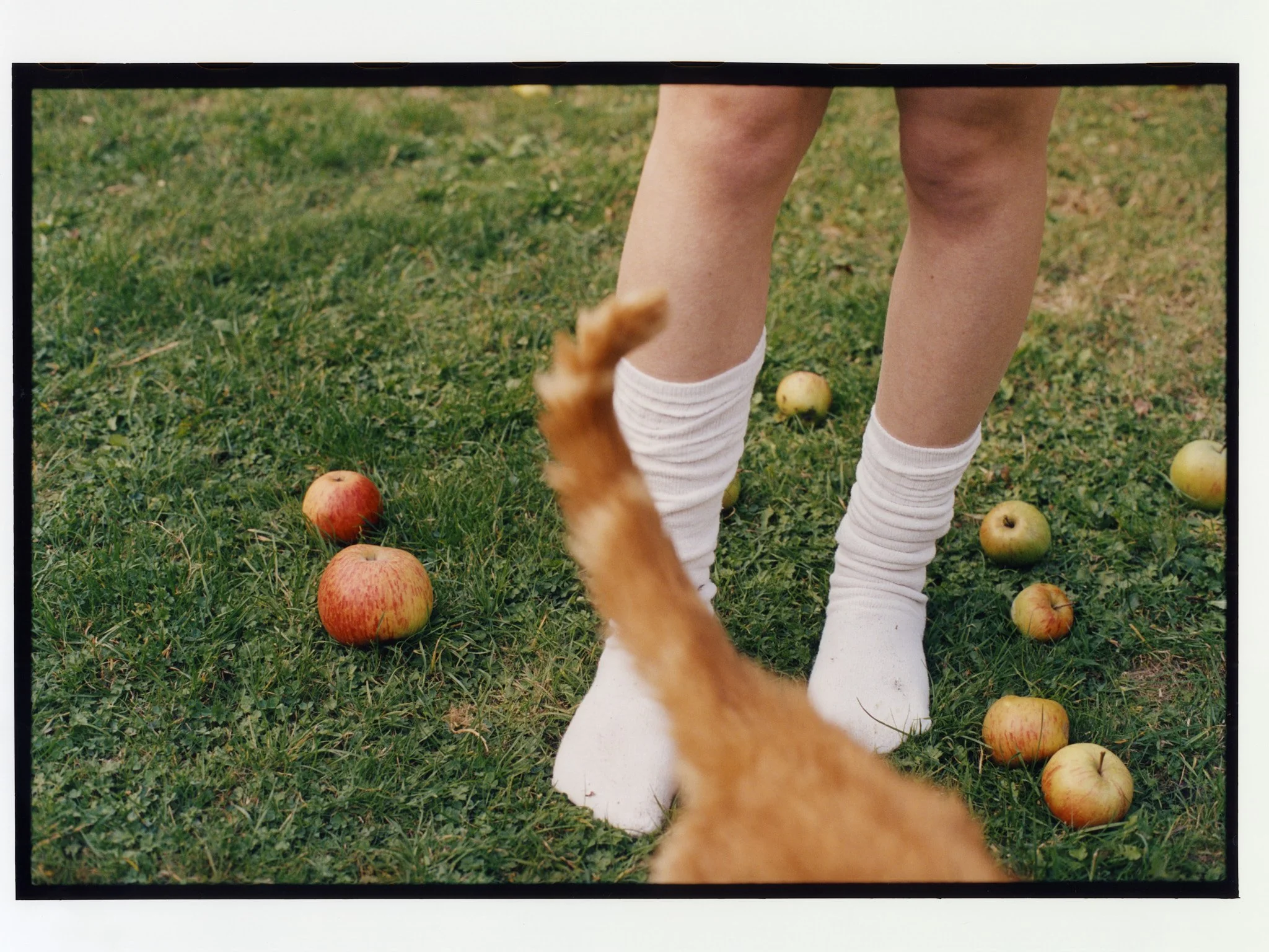 EP_MAISIE_PRINT21 copy.jpg