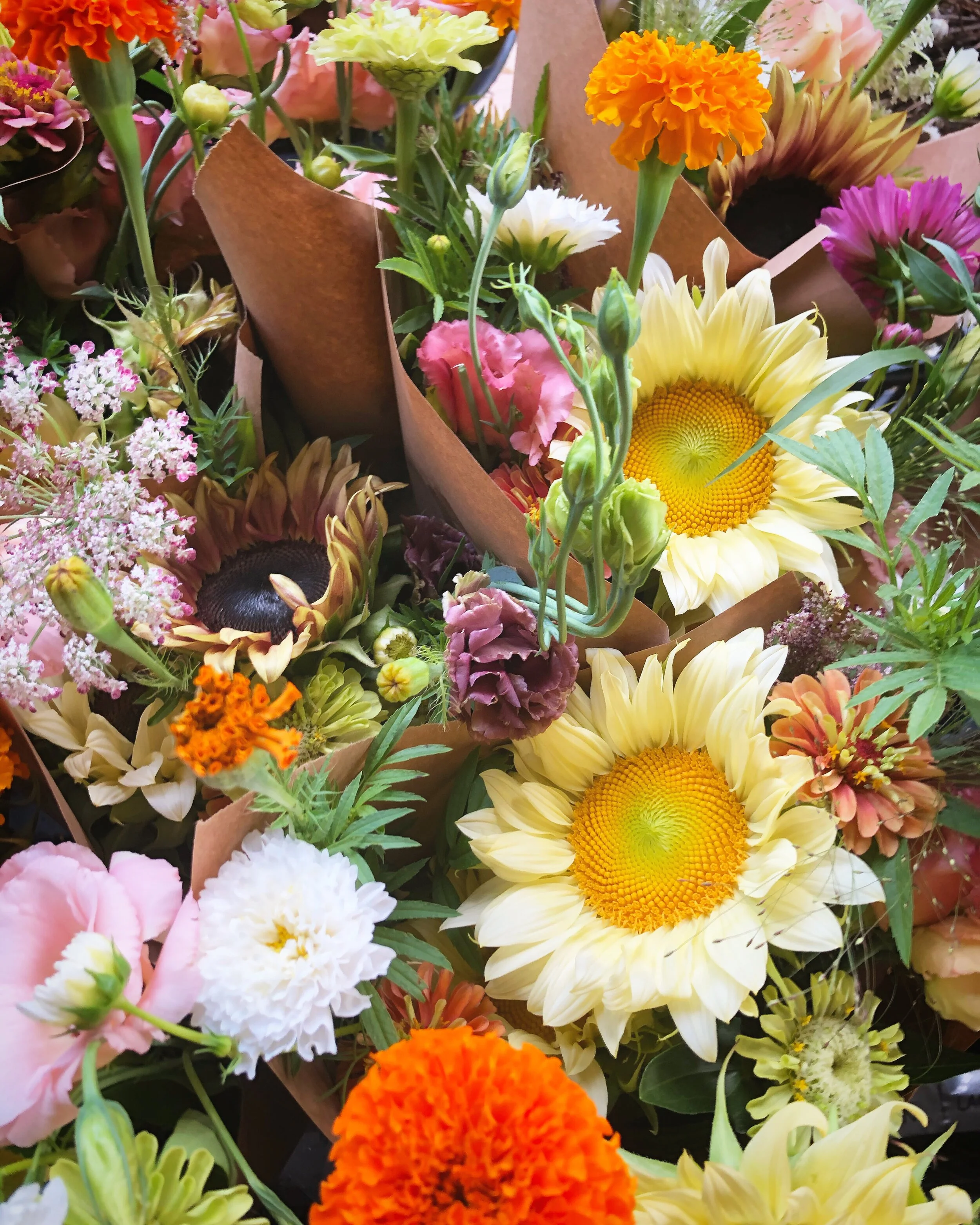 fall subscxription.jpeg