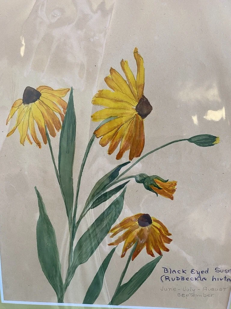 July’s Featured Artist Spotlight Botanical Paintings at the Leach