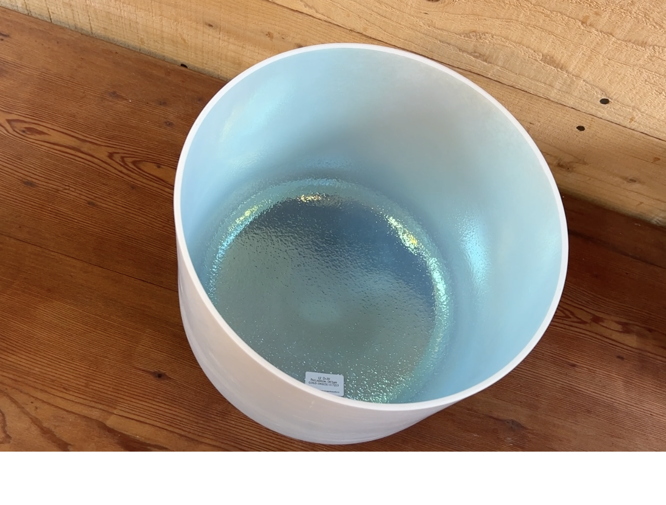 10" G#-20 Palladium, Ocean Gold (inside)