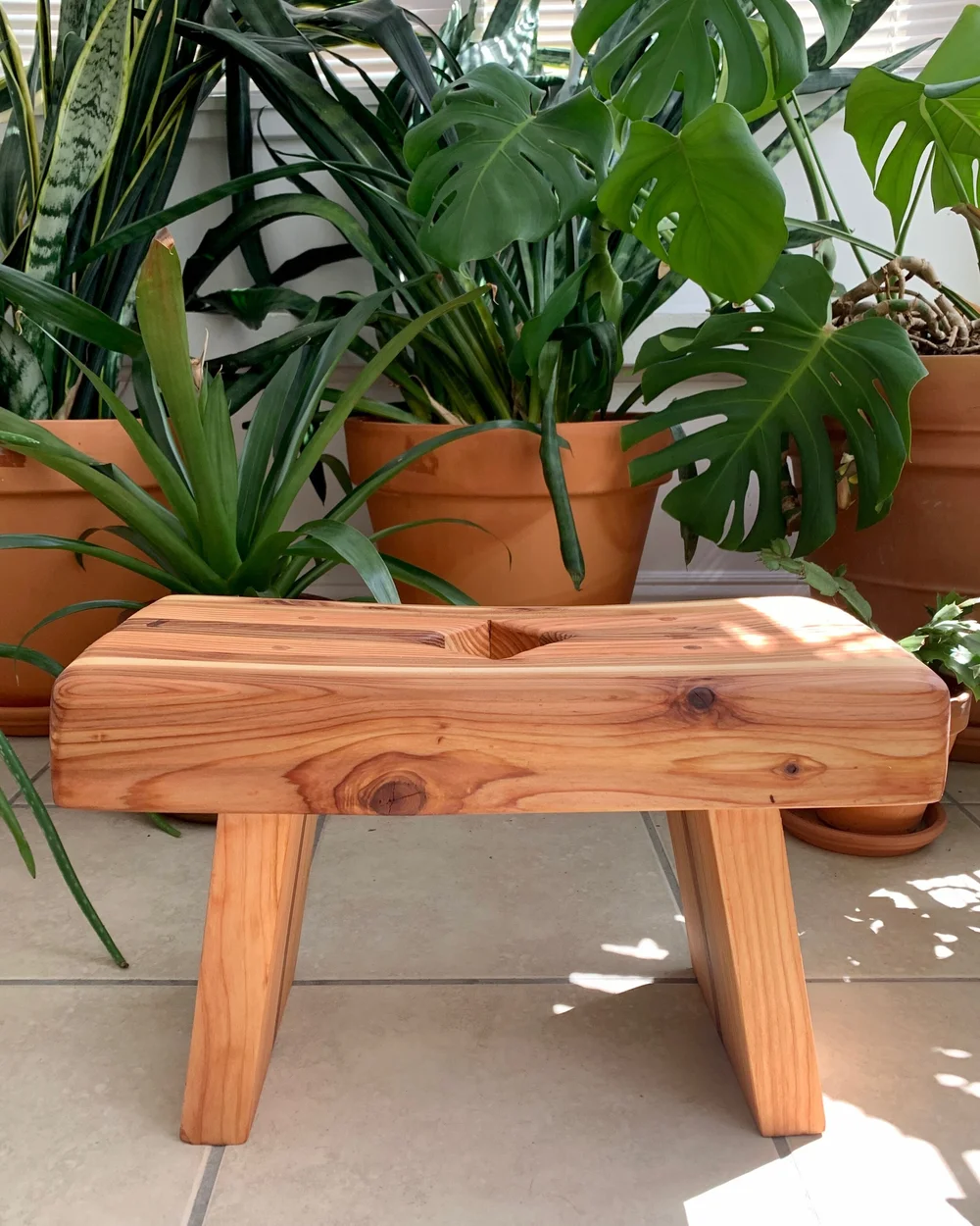 Vaginal Steam Stool Luminae