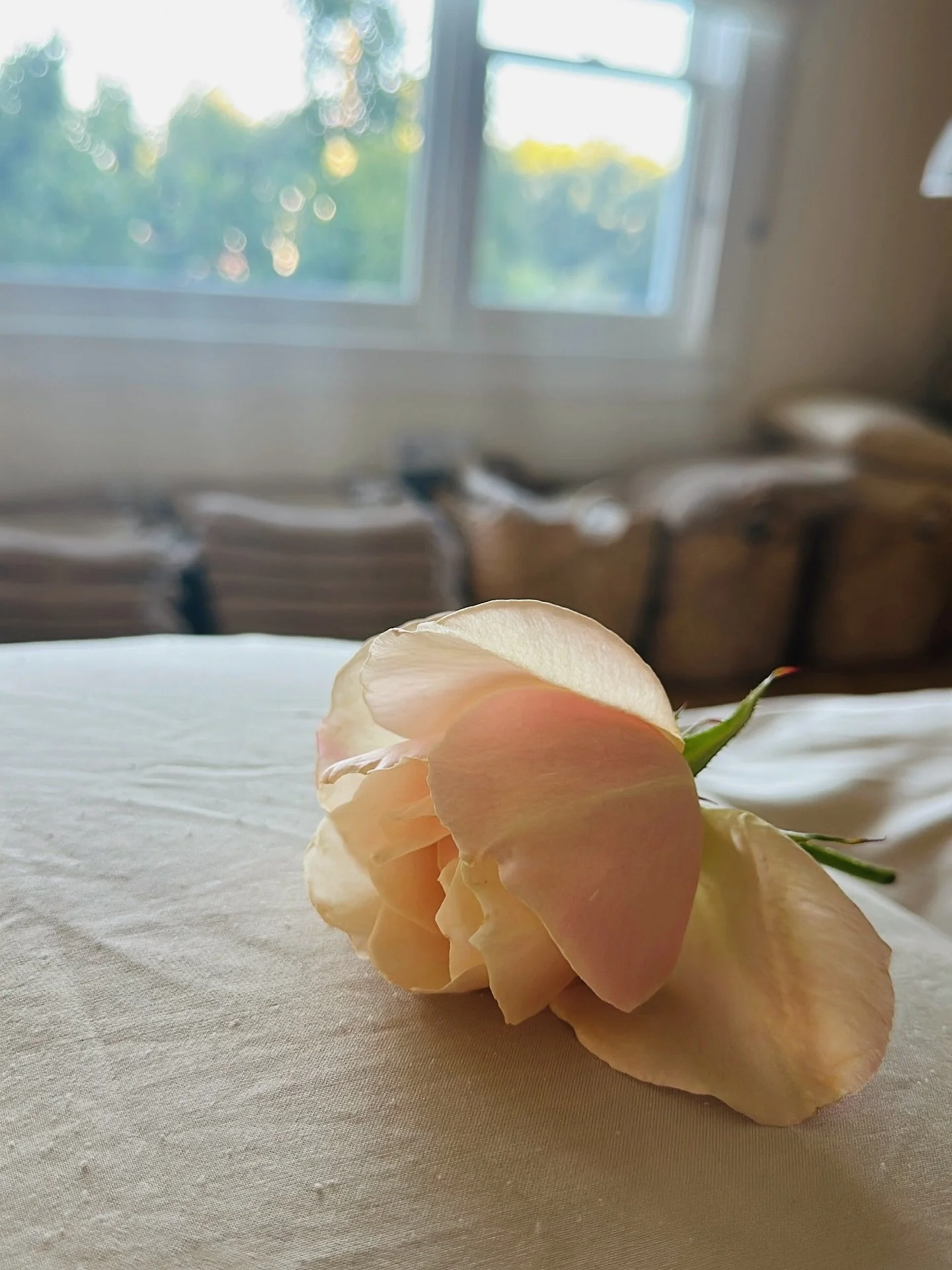 Somatic Therapy for Neurodivergence &amp; Sensitivity 💖

At Luminae, we believe every person deserves care that honors their whole self. If you are neurodivergent (an umbrella term describing different ways of thinking such as ADHD, Autism, OCD, dys