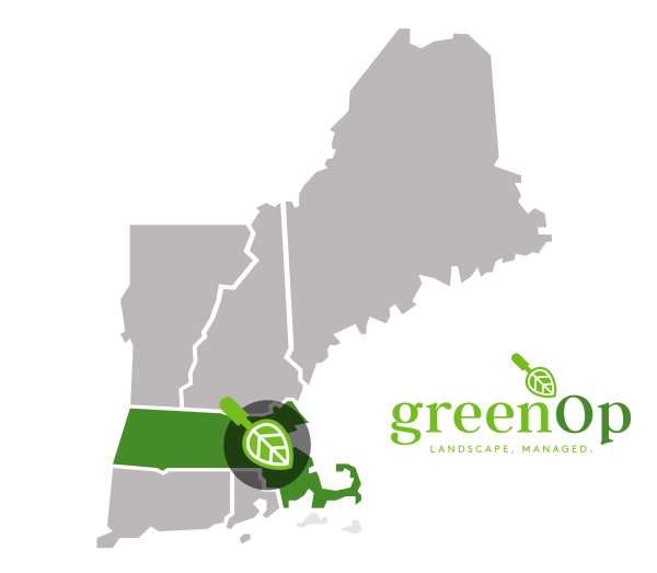 noun_New England Map_190702_000000 (1).png