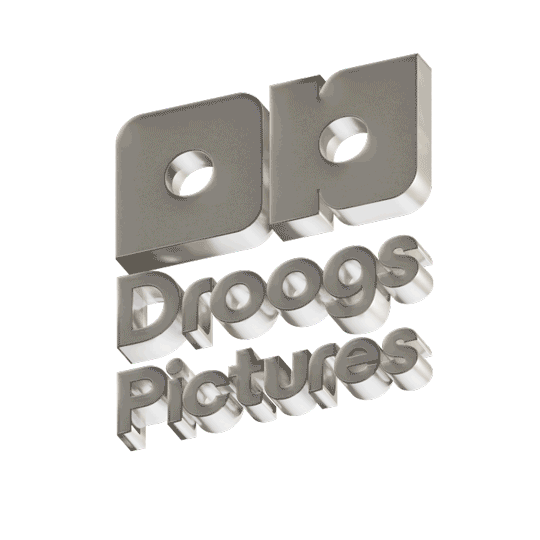 3D metallic logo for Droogs Pictures with large initials 'DP' above the name.