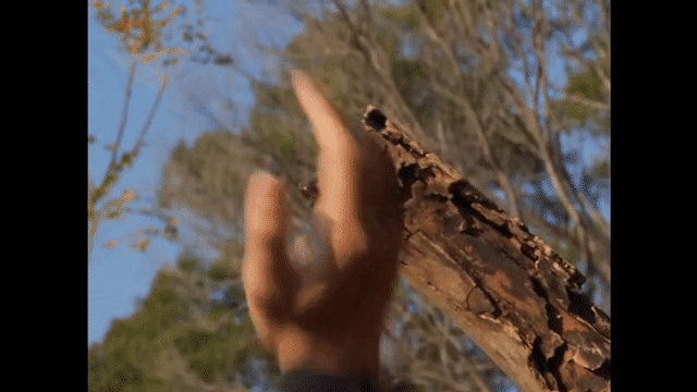 30s invoice and quote automation-low.gif