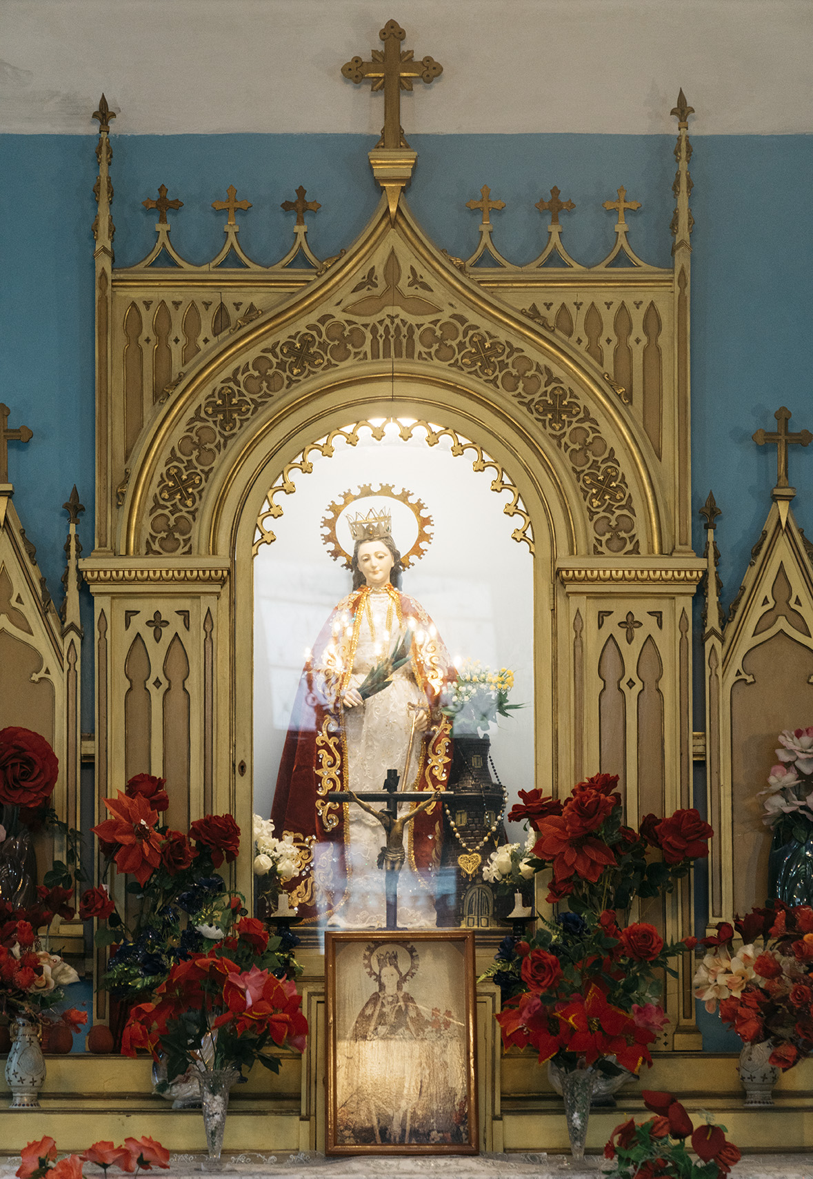 _DSC0144 copy copy.jpg