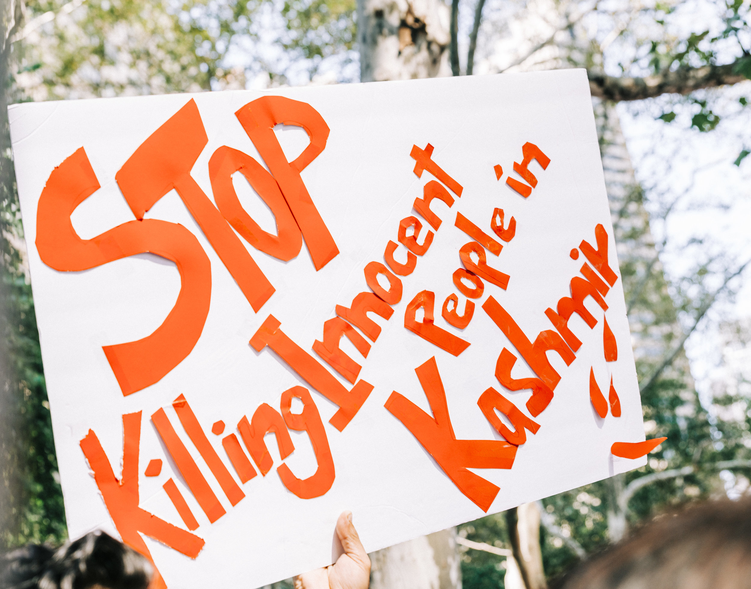 20190927_0904 copy.jpg