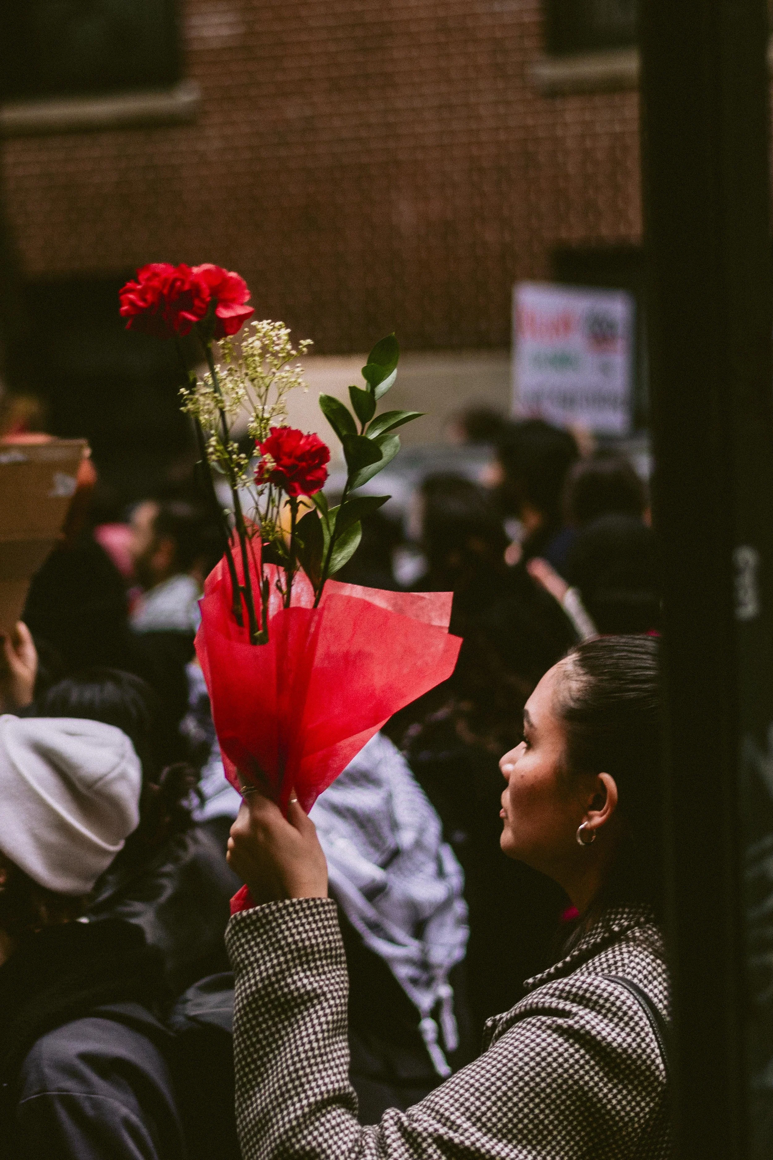 _0001660.jpg