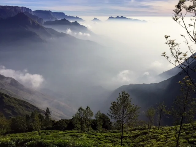 Where Do You Find Your Strength?