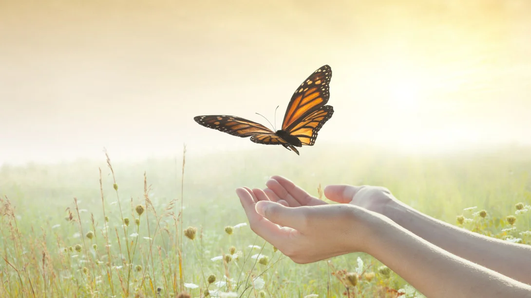 The Relief of Letting Go