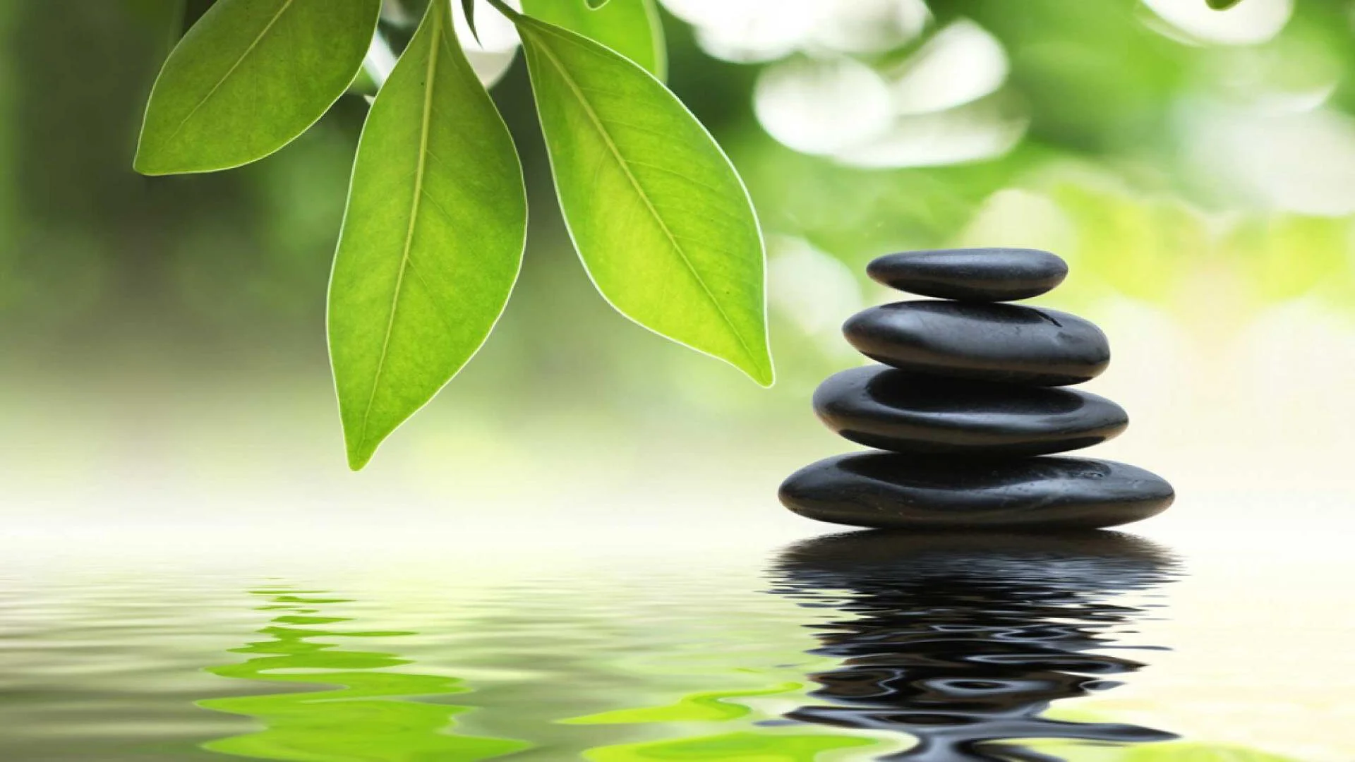 Zen.GreenLeaf.BlackStones.jpg