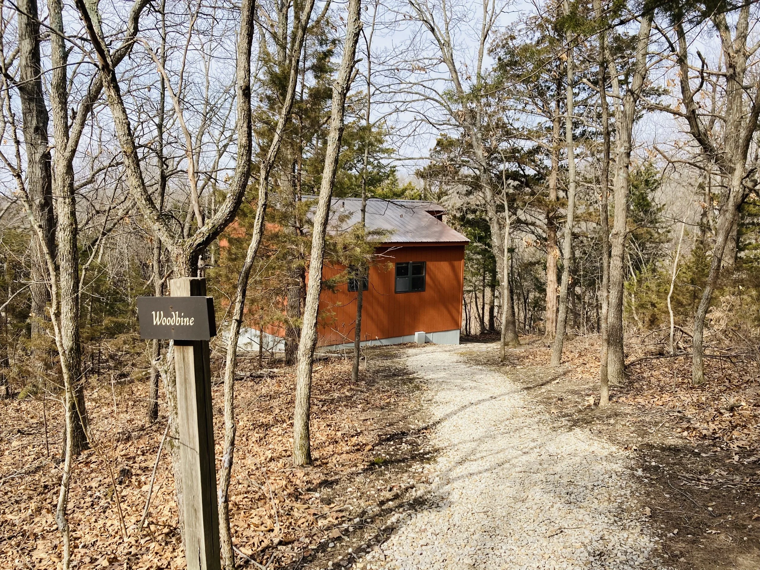 CPHOP - Forest Cabin.jpeg