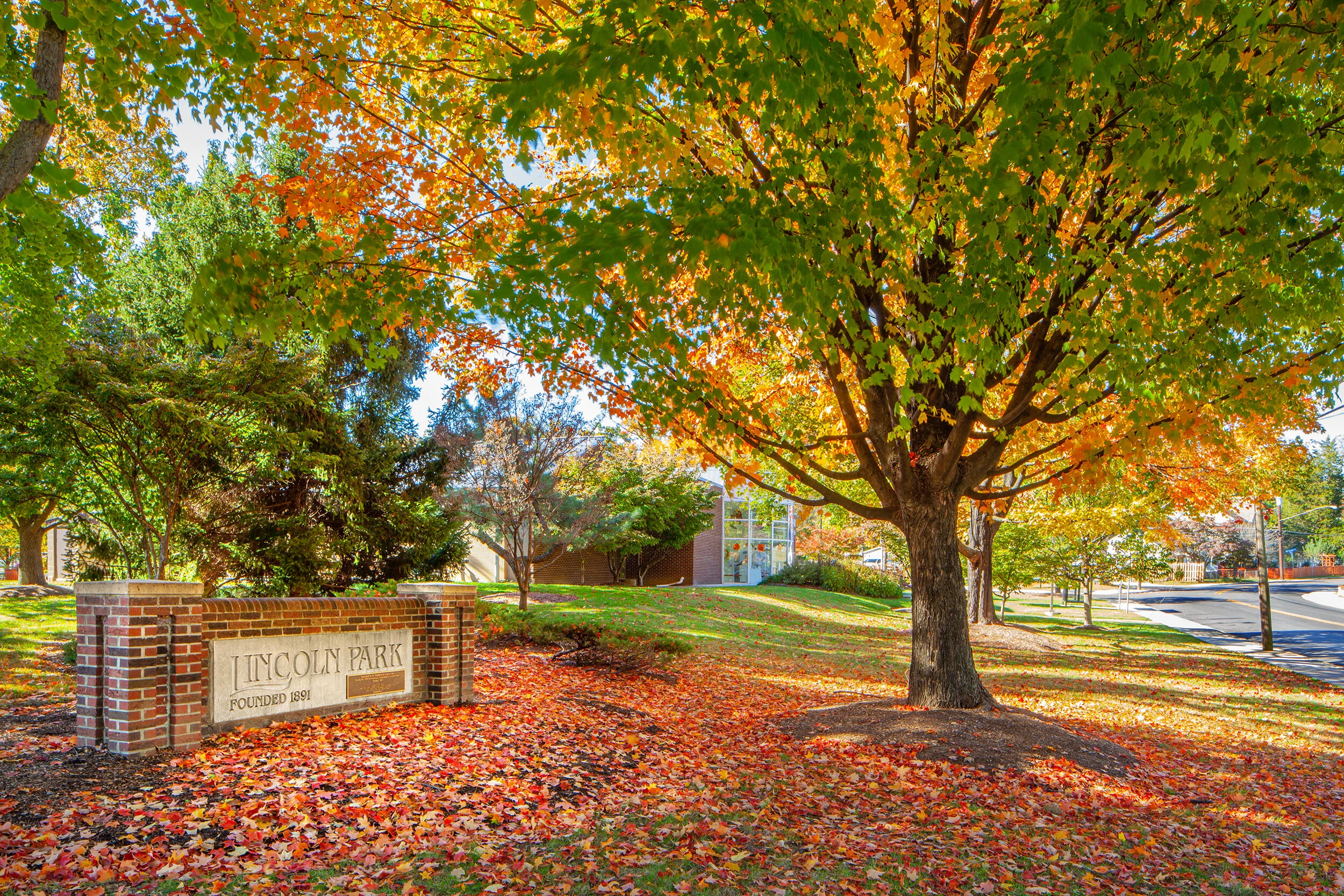 LincolnPark_0898.jpg