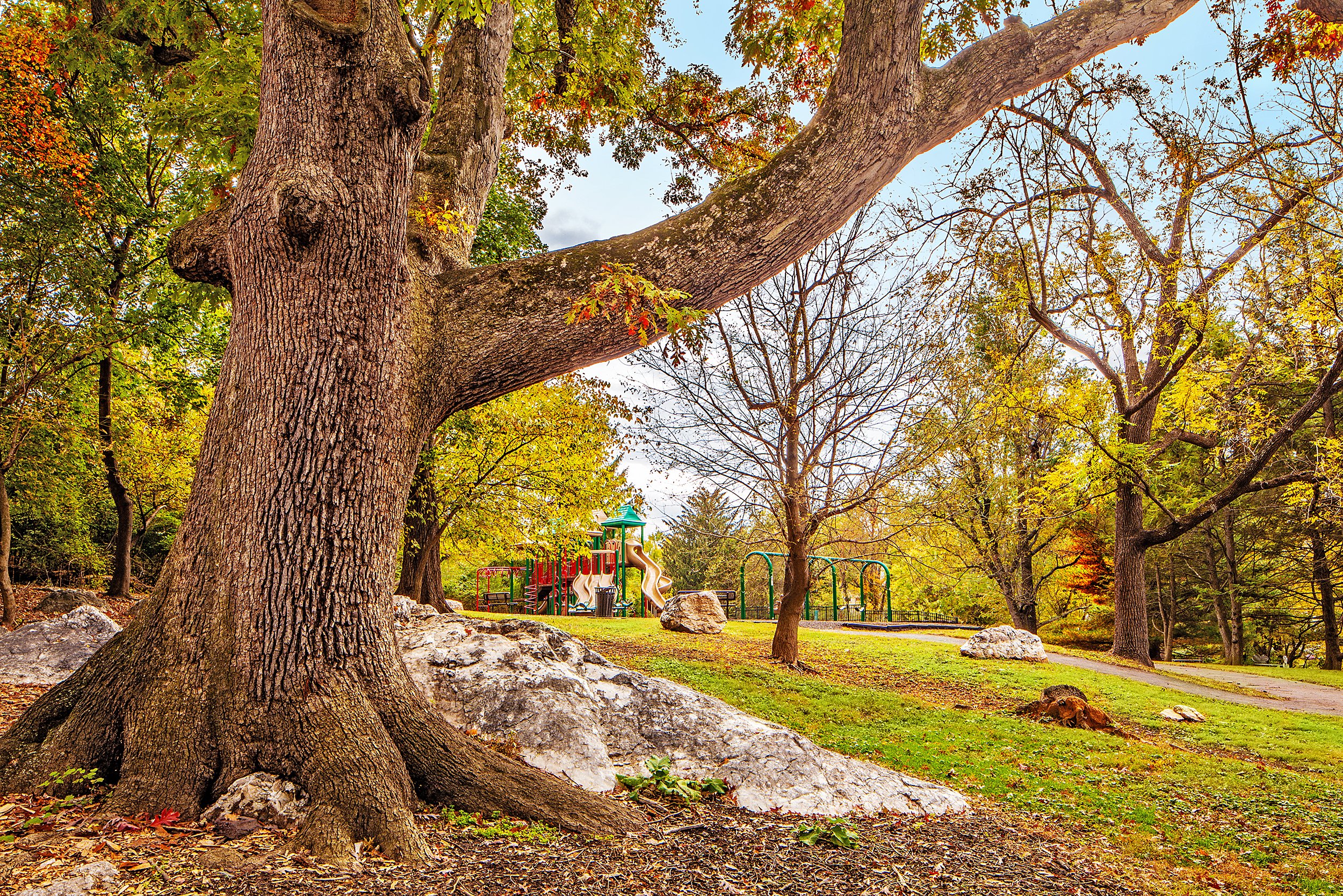 Dawson_Farm_1595.jpg
