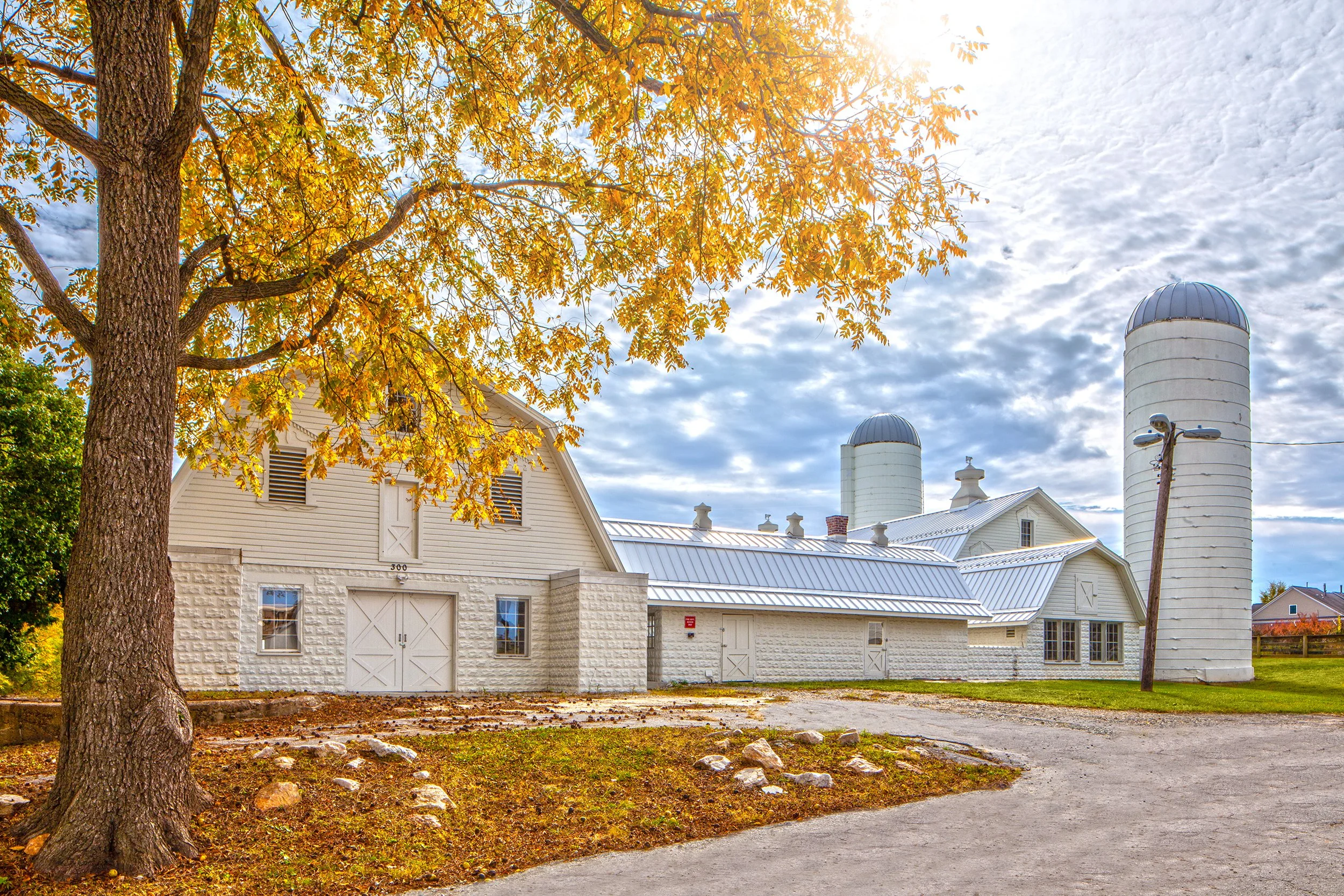 KingsFarm_1566.3.jpg