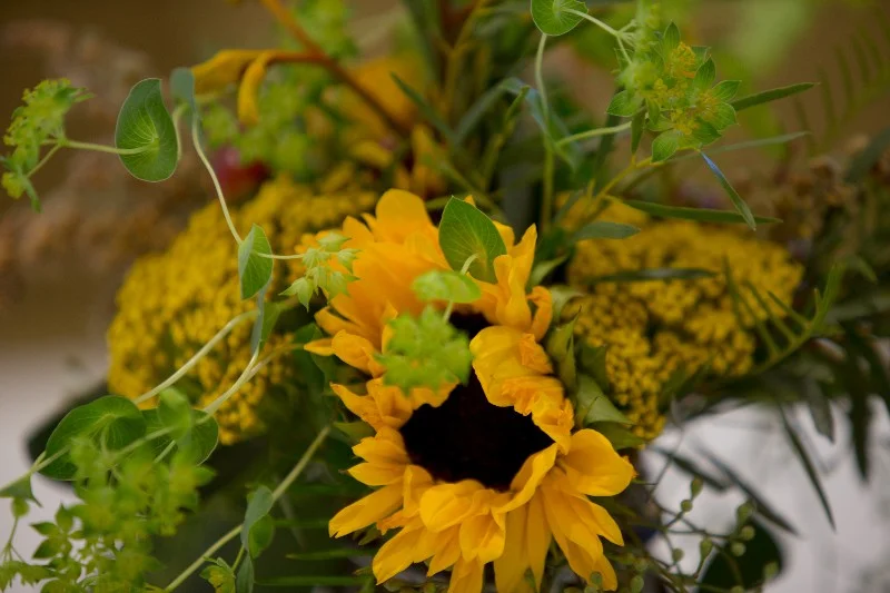 JCD_0659.JPG