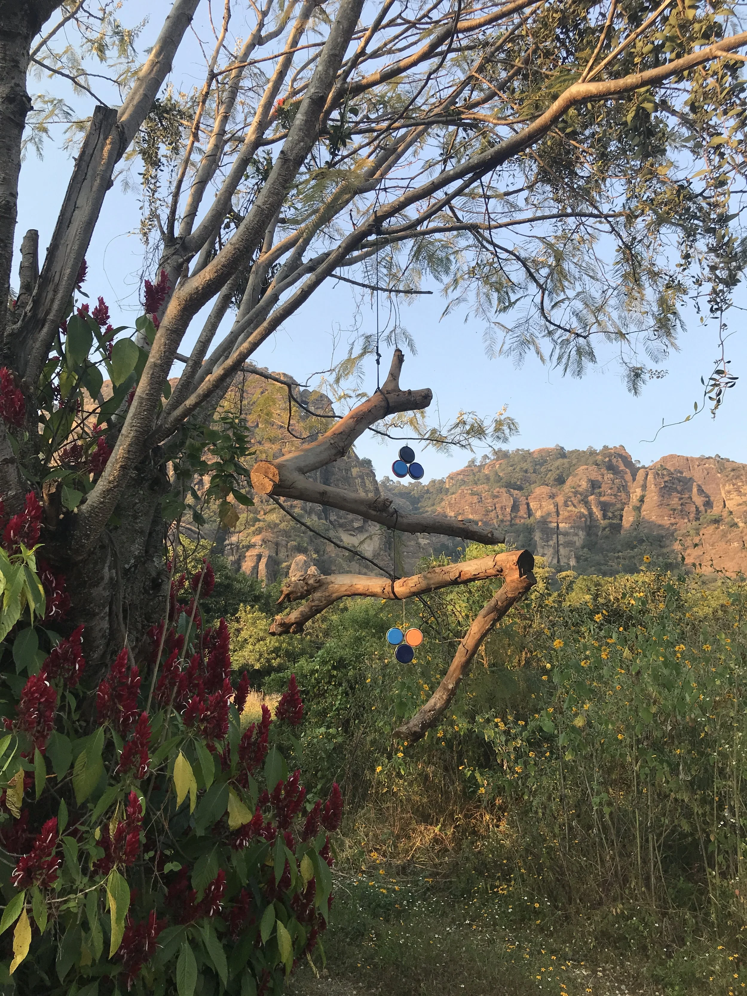  Driftwood 6 ,  1.5m x 1.5m  -  2025 