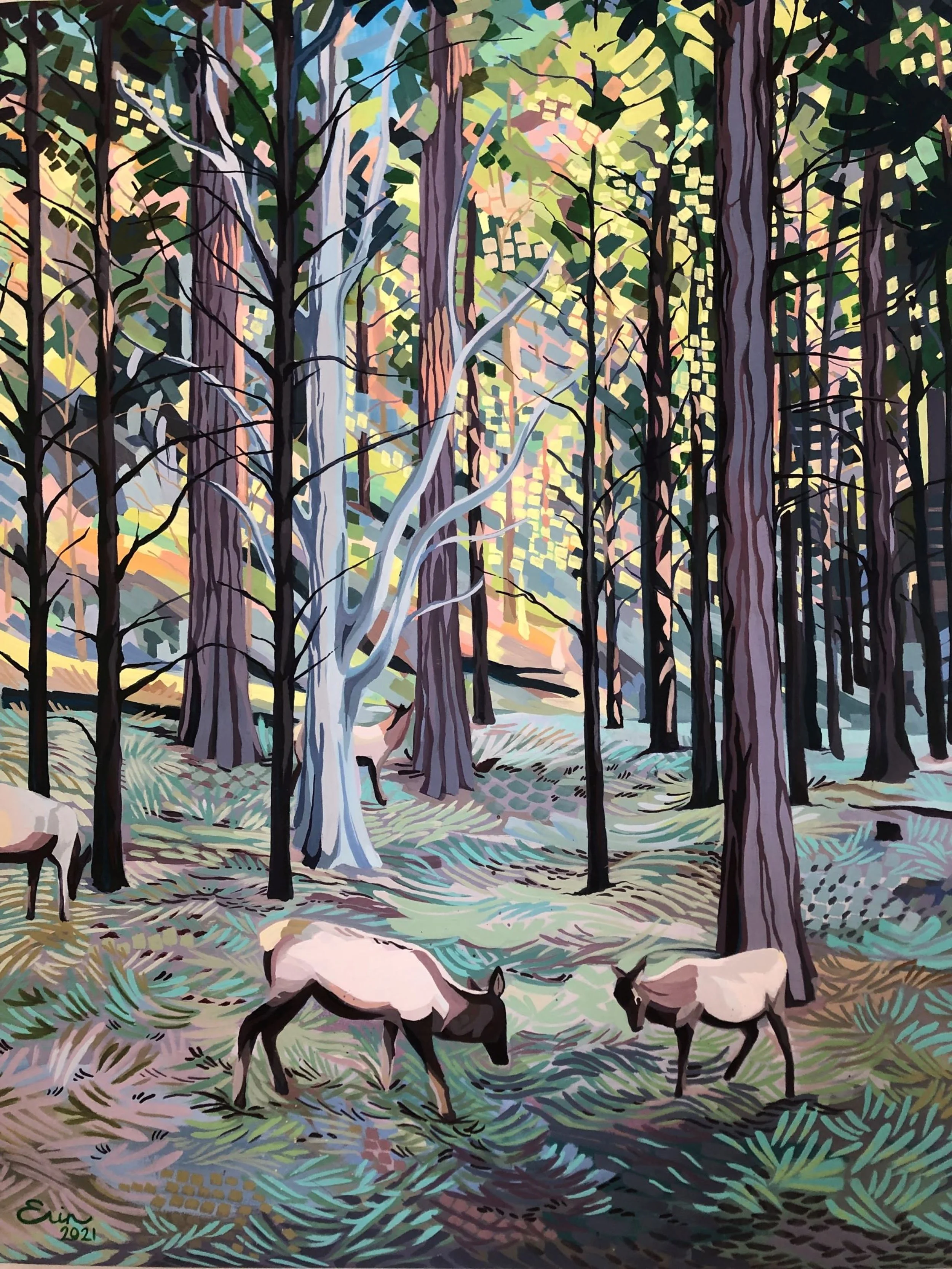 lolas elk resized.JPG
