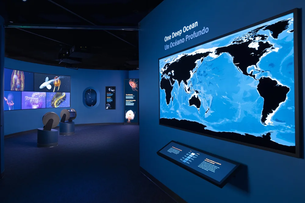 Into the Deep Exhibition - Monterey Bay Aquarium — Kirby Jones