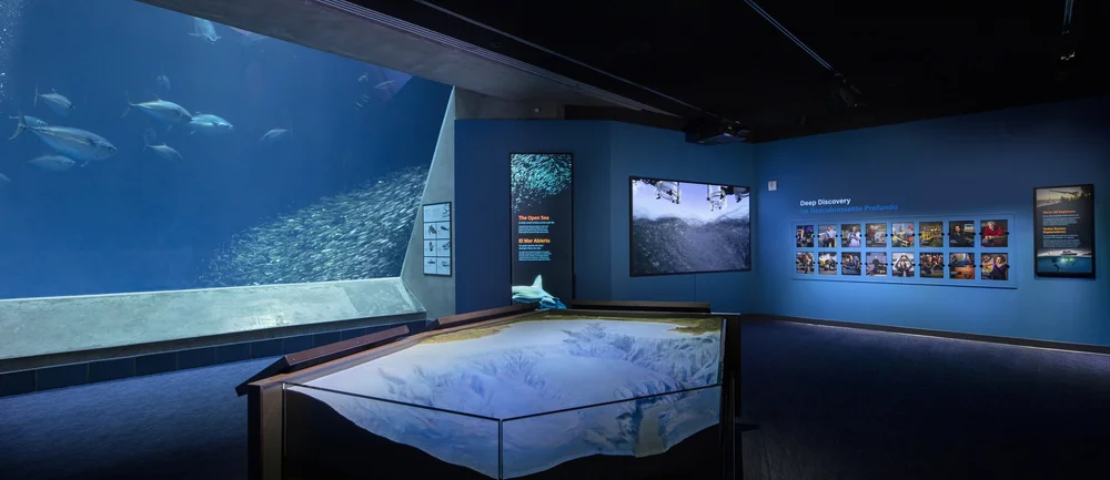 Into the Deep Exhibition - Monterey Bay Aquarium — Kirby Jones