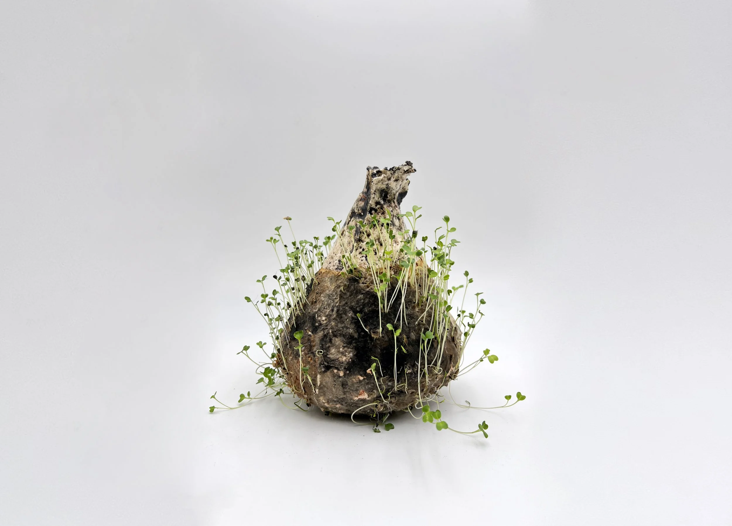 earthdrop ceramic vessel growing seed pod olla