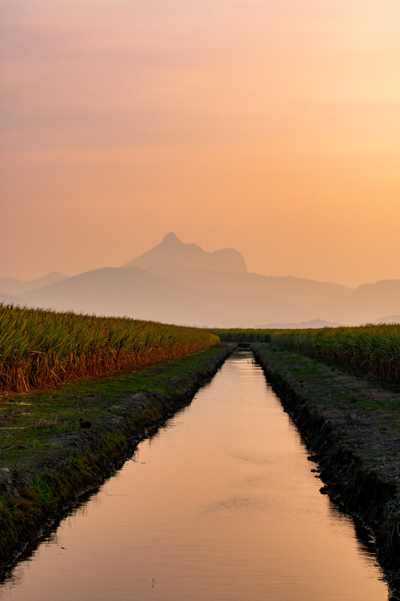 portfolio web 2nd set-5.JPG