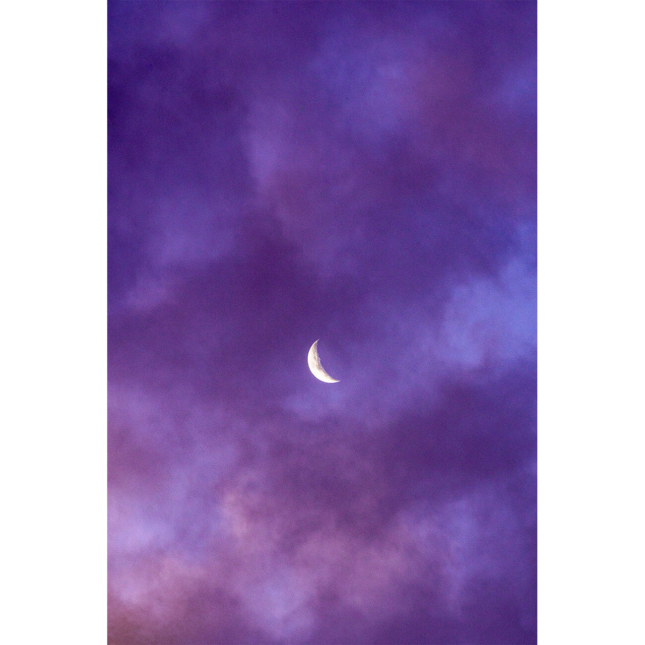 Purple Luna A4 for web thumbnail.jpg