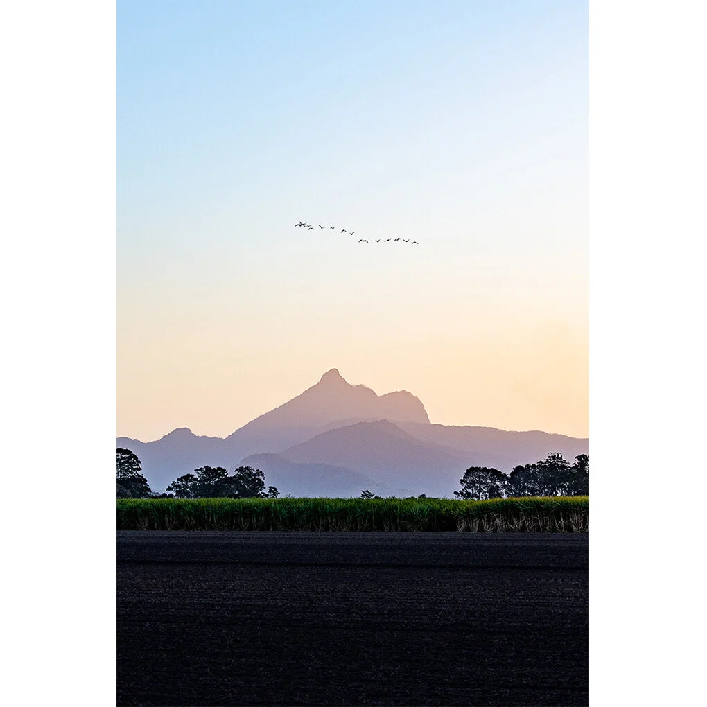 mt Warning with birds A4 for web thumbnail.jpg