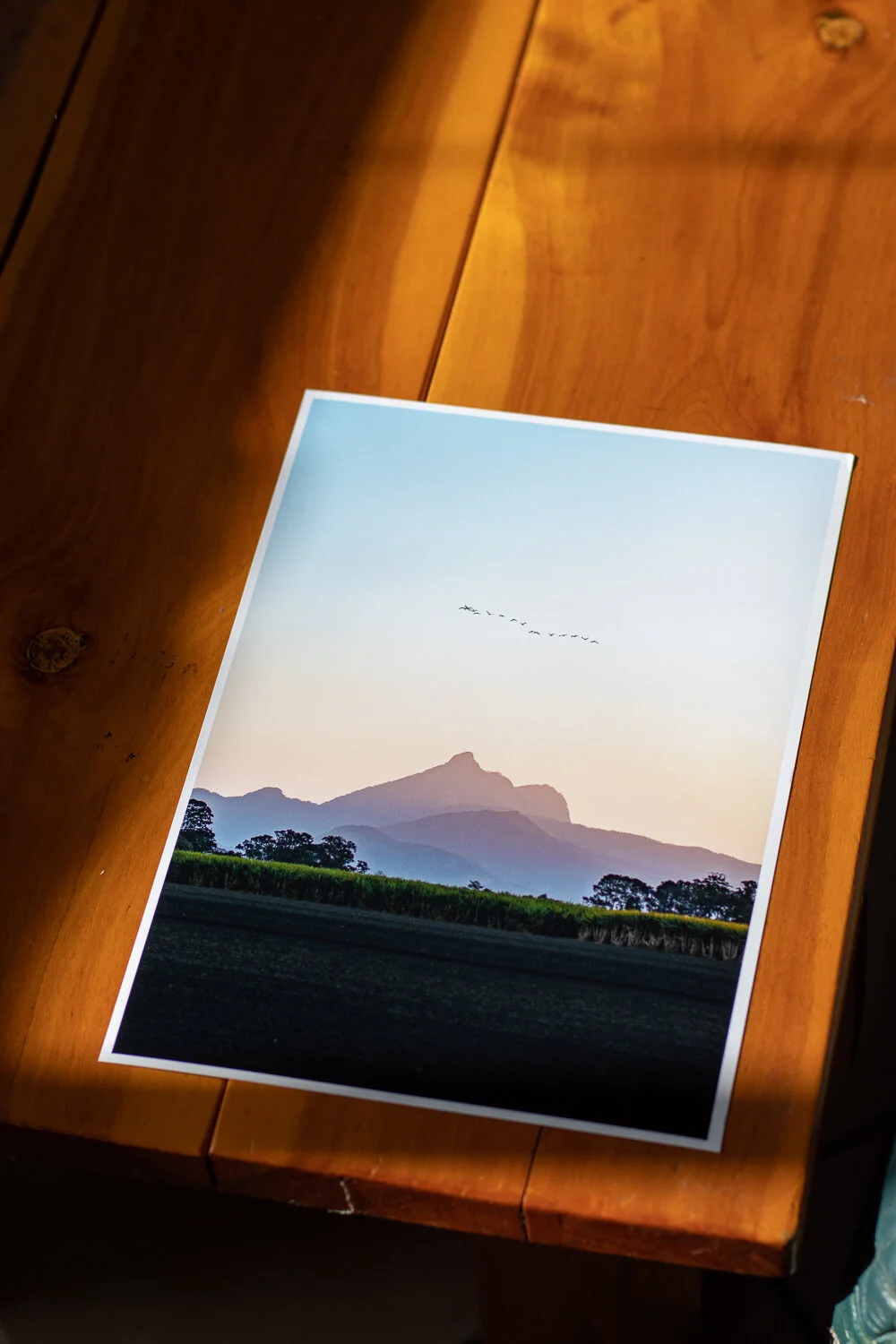 coffee table prints (14 of 26).JPG